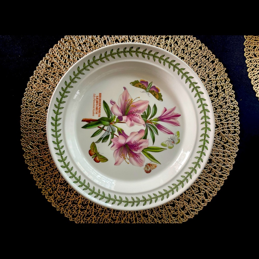 Botanic Garden
by PORTMEIRION Dinner Plate Lily Flowered Azalea